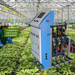 滴灌施肥机 大棚蔬菜水肥一体化高效解决方案